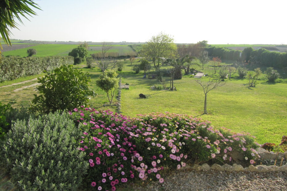 B&B huisje Andalusië huren